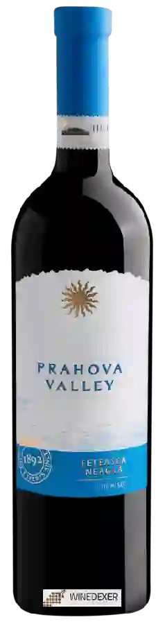 Weingut Halewood - Prahova Valley Fetească Neagră Demisec Weingut Halewood - Prahova Valley Fetească Neagră Demisec