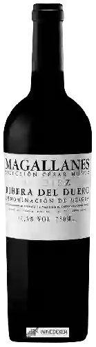 Weingut César Muñoz - Magallanes