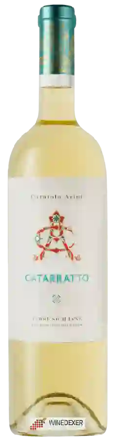 Weingut Curatolo Arini - Catarratto Weingut Curatolo Arini - Catarratto