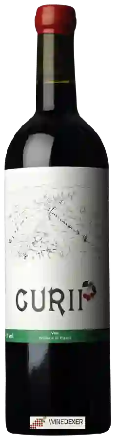 Weingut Curii Uvas & Vinos - Giro