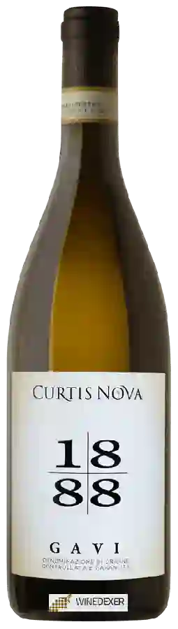 Weingut Curtis Nova - Gavi 1888