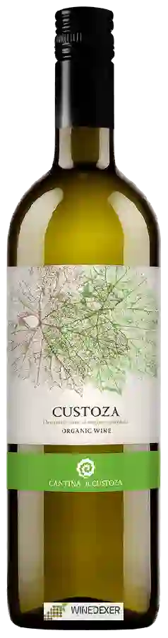 Weingut Cantina di Custoza - Bianco di Custoza Weingut Cantina di Custoza - Bianco di Custoza