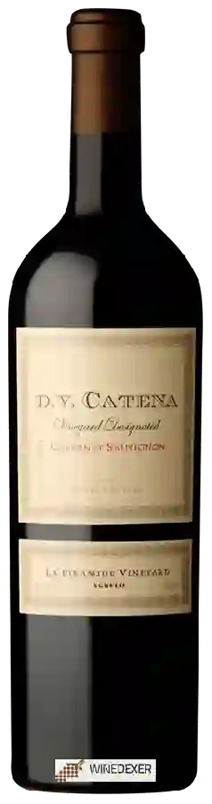 Weingut D.V. Catena - La Piramide Vineyard Cabernet Sauvignon