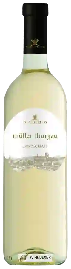 Weingut Dacastello - Landschaft Müller Thurgau Weingut Dacastello - Landschaft Müller Thurgau