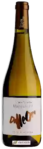 Weingut Tenuta dalle Ore - Mappale 77