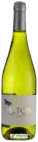 Weingut Dalton - Moscato
