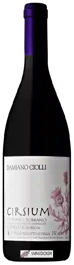 Weingut Damiano Ciolli - Cirsium Cesanese di Olevano Romano Riserva Weingut Damiano Ciolli - Cirsium Cesanese di Olevano Romano Riserva