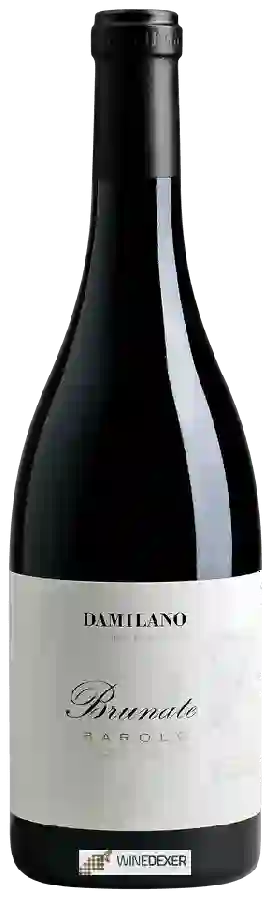 Weingut Damilano - Barolo Brunate Weingut Damilano - Barolo Brunate