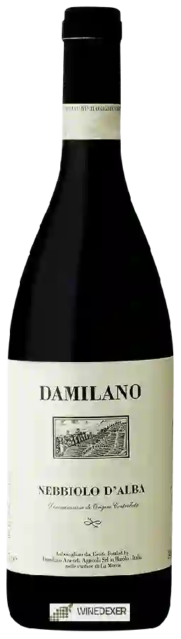 Weingut Damilano - Nebbiolo d'Alba Weingut Damilano - Nebbiolo d'Alba