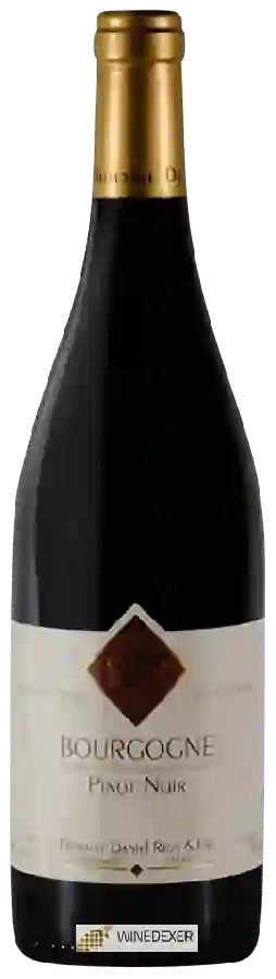 Domaine Daniel Rion & Fils - Bourgogne Pinot Noir