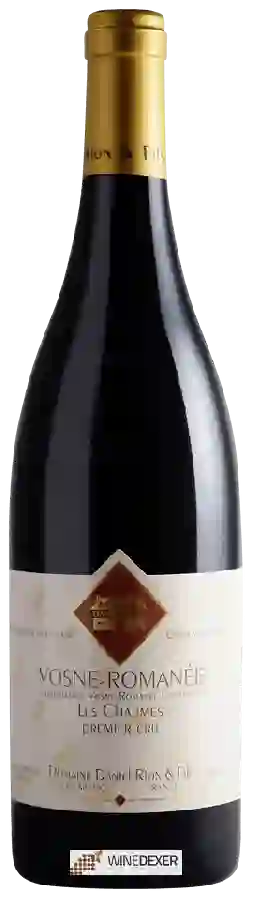 Domaine Daniel Rion & Fils - Vosne-Romanée Premier Cru 'Les Chaumes'