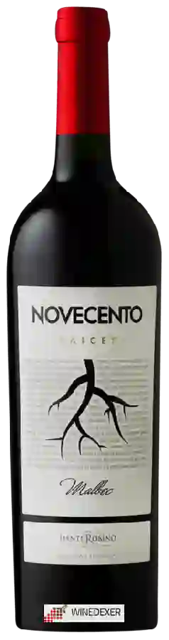 Weingut Dante Robino - Novecento Raices Malbec Weingut Dante Robino - Novecento Raices Malbec
