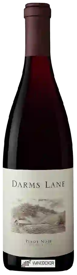 Weingut Darms Lane - Pinot Noir Weingut Darms Lane - Pinot Noir