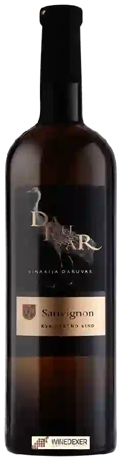 Weingut Vinarija Daruvar - Sauvignon Weingut Vinarija Daruvar - Sauvignon