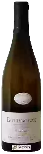 Weingut Darviot-Perrin - Bourgogne Les Magnys