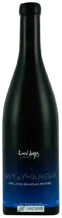 Weingut David Large - Gamayhameha Beaujolais Weingut David Large - Gamayhameha Beaujolais
