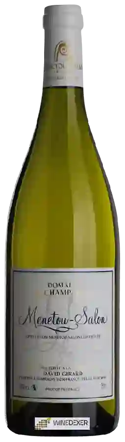 Weingut David & Luc Girard - Domaine de Champarlan Menetou-Salon Blanc