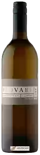 Weingut David Marchesi - Provare Sauvignon Blanc