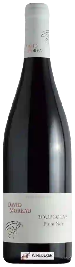 Weingut David Moreau - Pinot Noir Bourgogne Weingut David Moreau - Pinot Noir Bourgogne