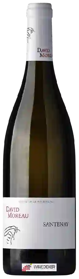 Weingut David Moreau - Santenay Blanc