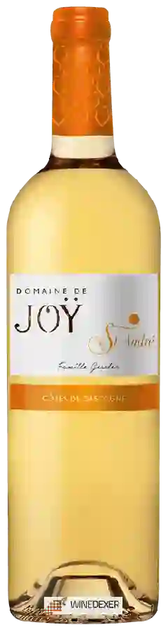 Domaine de Joy - Saint André Côtes de Gascogne