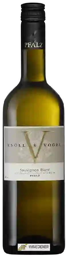 Weingut Knöll & Vogel - Sauvignon Blanc