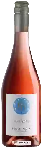 Weingut Weingut Meßmer - Pinot Noir Rosé Trocken