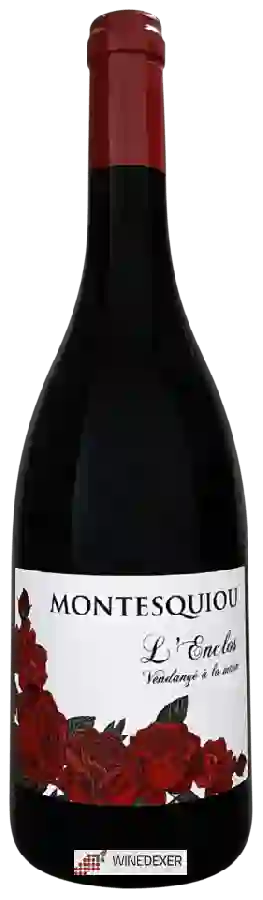 Weingut Montesquiou - L' Enclos Weingut Montesquiou - L' Enclos