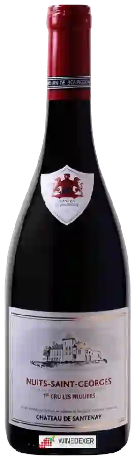 Château de Santenay - Nuits-Saint-Georges 1er Cru Les Pruliers
