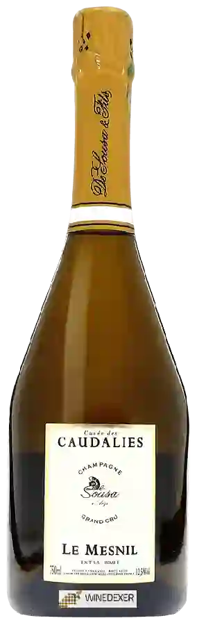 Weingut De Sousa - Cuvée des Caudalies Le Mesnil Extra Brut Champagne Grand Cru 'Avize'