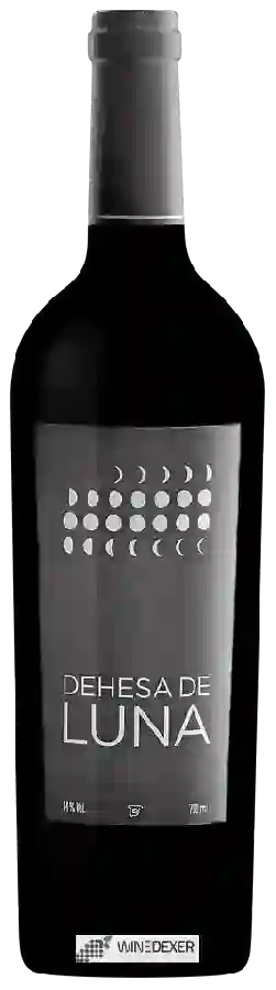 Weingut Dehesa de Luna - Tinto Weingut Dehesa de Luna - Tinto