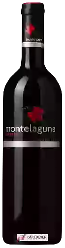 Weingut Dehesa Valdelaguna - Montelaguna Crianza