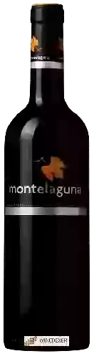 Weingut Dehesa Valdelaguna - Montelaguna