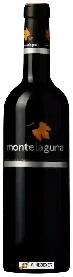 Weingut Dehesa Valdelaguna - Montelaguna