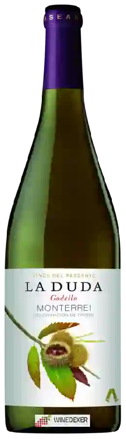 Weingut Vinos del Paseante - La Duda Godello Weingut Vinos del Paseante - La Duda Godello