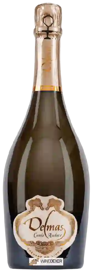 Domaine Delmas - Cuvée Audace Crémant de Limoux Domaine Delmas - Cuvée Audace Crémant de Limoux