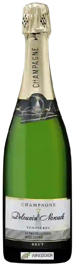 Weingut Delouvin Nowack - Extra Sélection Millésime Brut Champagne