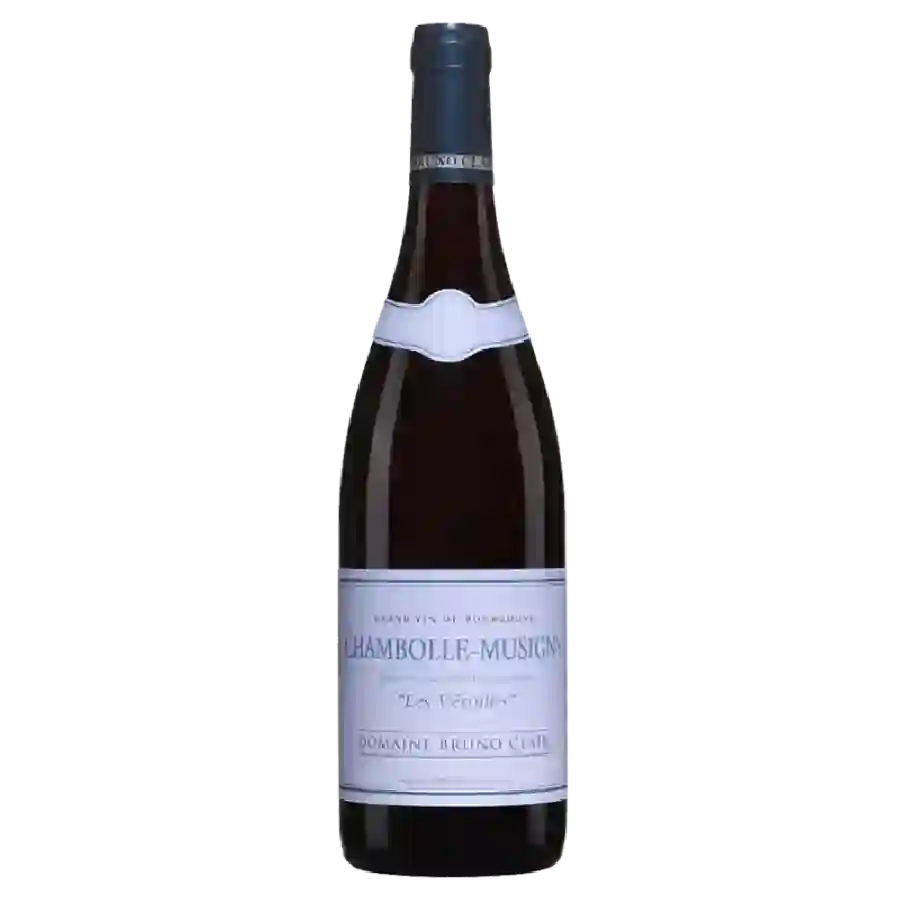 Weingut Bruno Desaunay Bissey - Chambolle-Musigny Weingut Bruno Desaunay Bissey - Chambolle-Musigny