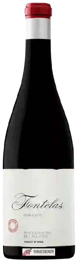 Weingut Descendientes de J. Palacios - Fontelas Bierzo (Corullón)