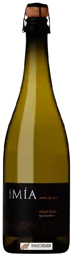 Bodega del Desierto - Mia Pinot Noir Blanc de Noir Extra Brut