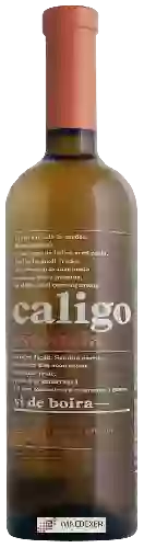 Weingut DG Viticultors - Caligo Essència Vi de Boira
