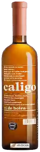 Weingut DG Viticultors - Caligo Vi de Boira