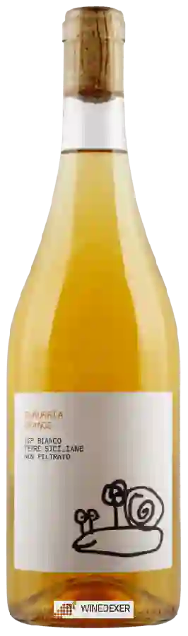 Weingut Di Giovanna - Camurrìa Orange Weingut Di Giovanna - Camurrìa Orange