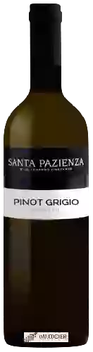 Weingut di Lenardo - Santa Pazienza Pinot Grigio
