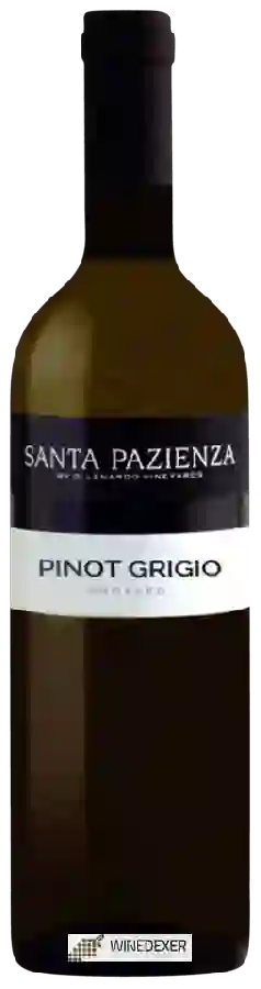 Weingut di Lenardo - Santa Pazienza Pinot Grigio