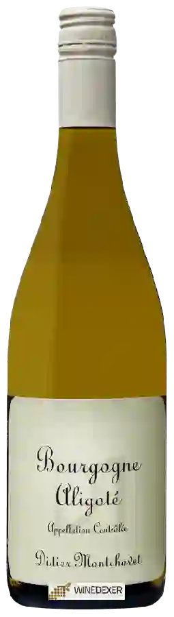 Weingut Didier Montchovet - Bourgogne Aligoté