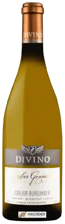 Weingut Divino - Grosses Gewächs Grauer Burgunder Trocken Weingut Divino - Grosses Gewächs Grauer Burgunder Trocken
