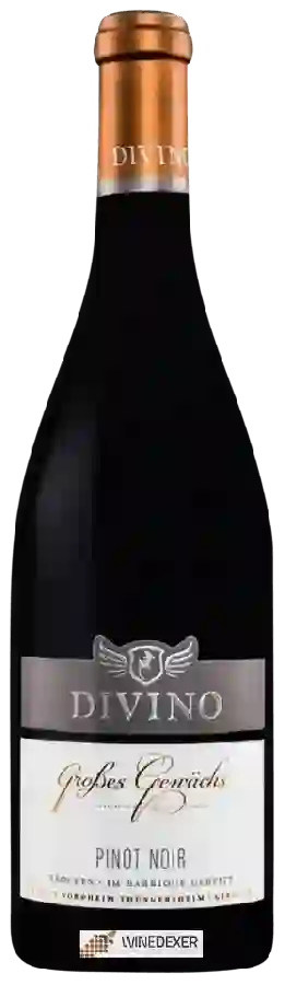 Weingut Divino - Grosses Gewächs Pinot Noir Trocken Weingut Divino - Grosses Gewächs Pinot Noir Trocken