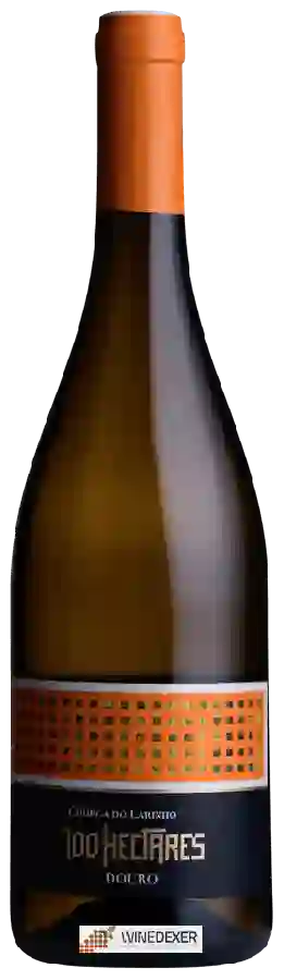 Weingut 100 Hectares - Códega do Larinho Weingut 100 Hectares - Códega do Larinho