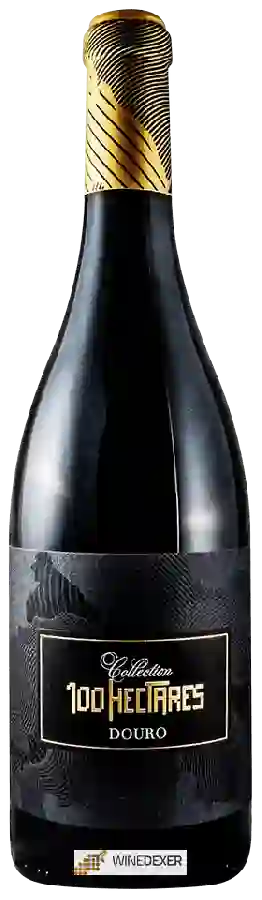 Weingut 100 Hectares - Collection Tinto